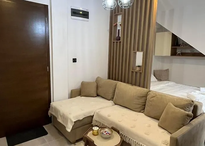 Petkovic Nlux 110 Milmari